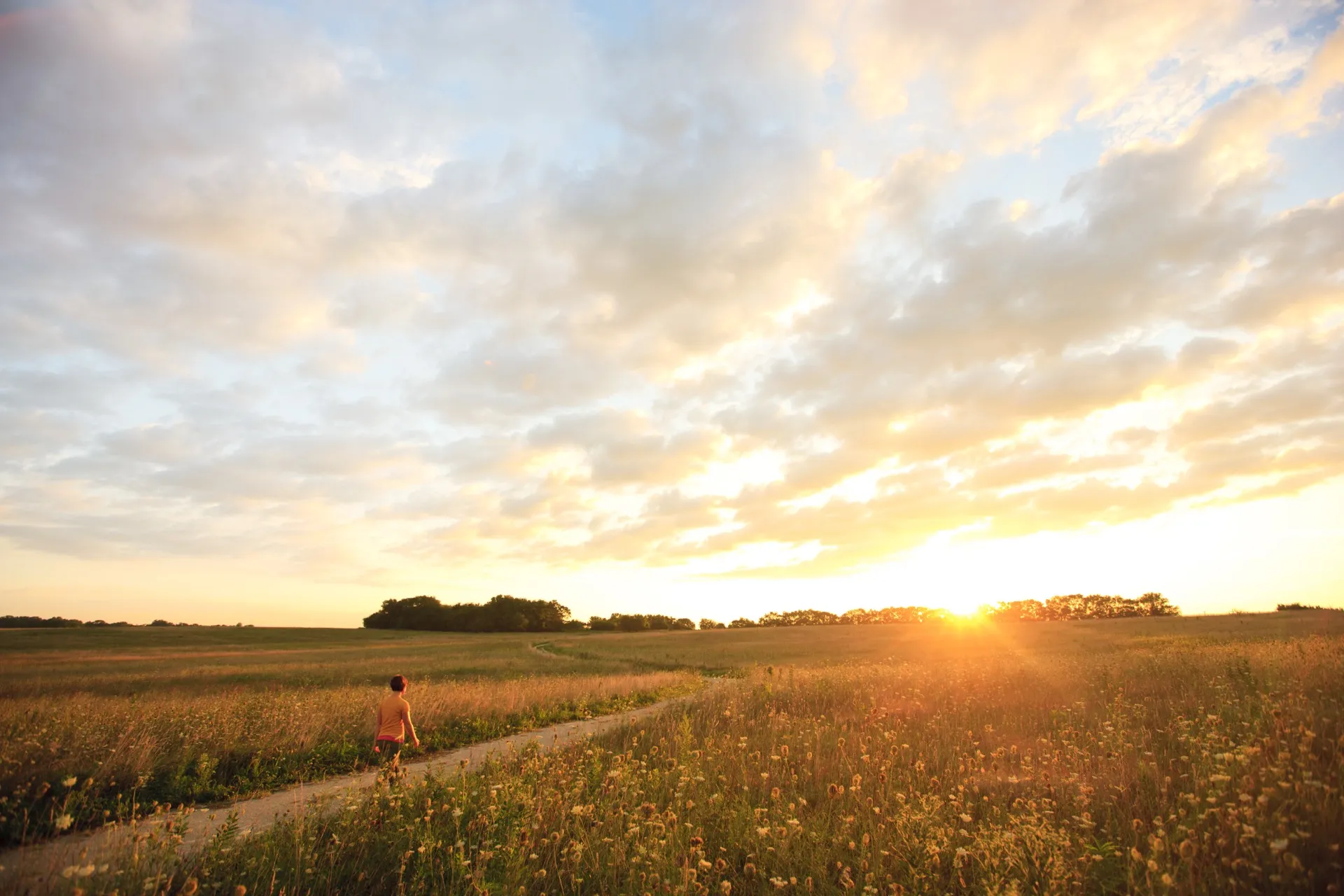 Midewin National Tallgrass Prairie
